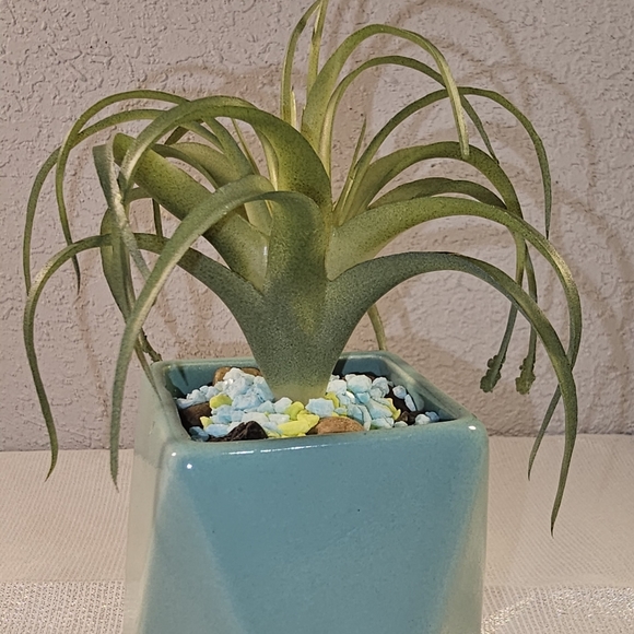 Ceramic - Picture 2 of 2